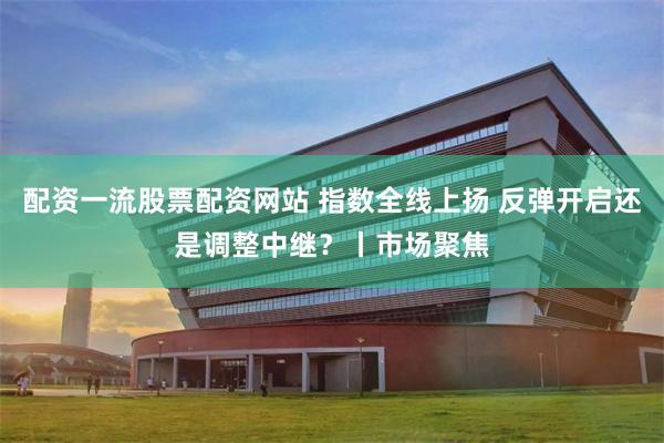 配资一流股票配资网站 指数全线上扬 反弹开启还是调整中继?丨市场聚焦