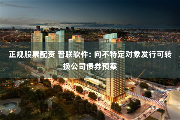 正规股票配资 普联软件: 向不特定对象发行可转换公司债券预案