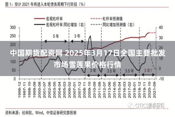 中国期货配资网 2025年3月17日全国主要批发市场雪莲果价格行情