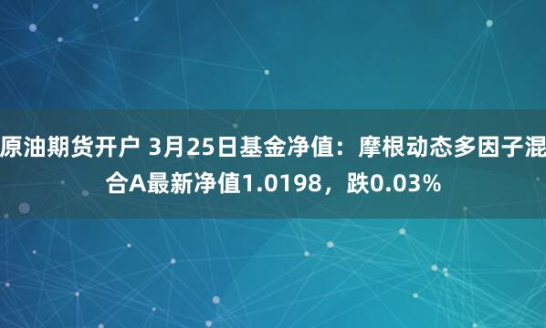 原油期货开户 3月25日基金净值：摩根动态多因子混合A最新净值1.0198，跌0.03%