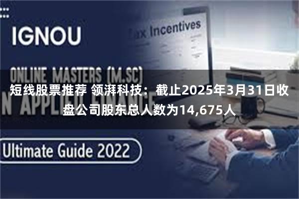 短线股票推荐 领湃科技：截止2025年3月31日收盘公司股东总人数为14,675人