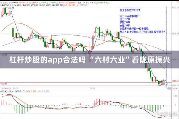杠杆炒股的app合法吗 “六村六业”看陇原振兴