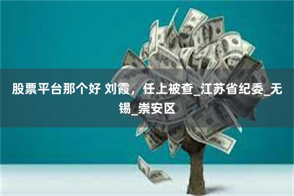 股票平台那个好 刘霞，任上被查_江苏省纪委_无锡_崇安区