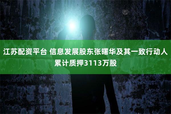 江苏配资平台 信息发展股东张曙华及其一致行动人累计质押3113万股
