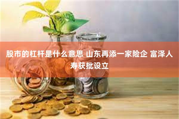 股市的杠杆是什么意思 山东再添一家险企 富泽人寿获批设立