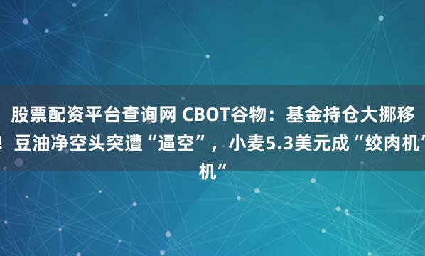 股票配资平台查询网 CBOT谷物：基金持仓大挪移！豆油净空头突遭“逼空”，小麦5.3美元成“绞肉机”