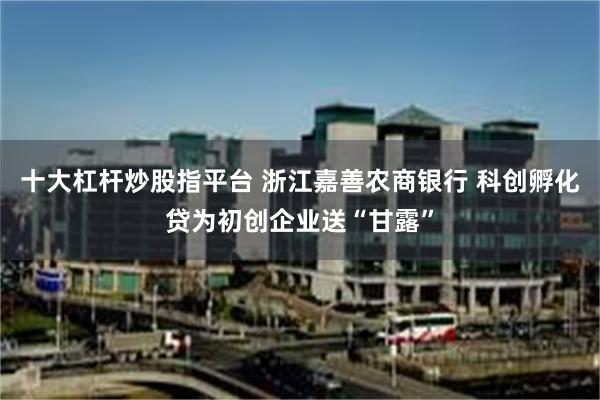 十大杠杆炒股指平台 浙江嘉善农商银行 科创孵化贷为初创企业送“甘露”