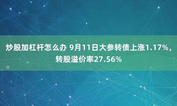 炒股加杠杆怎么办 9月11日大参转债上涨1.17%，转股溢价率27.56%