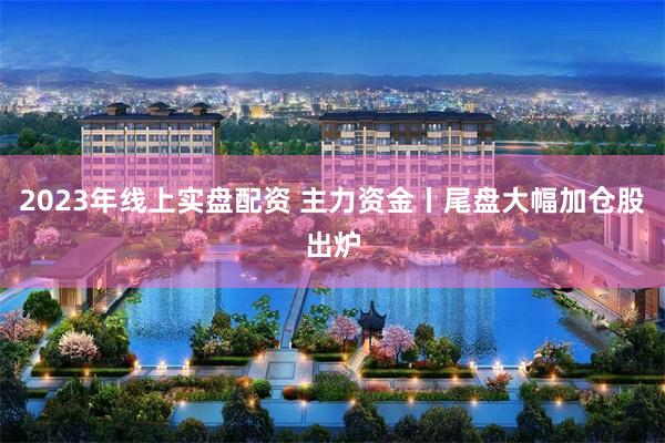 2023年线上实盘配资 主力资金丨尾盘大幅加仓股出炉